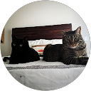 Connor Bartel profile picture